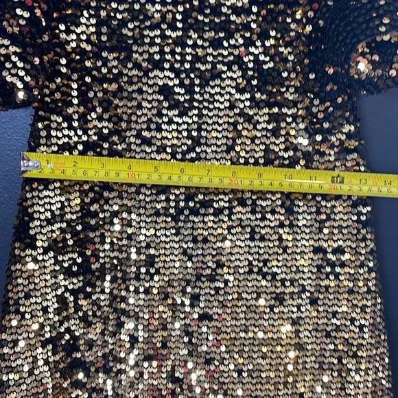Zara Gold and Black Sparkle Sequin Dress